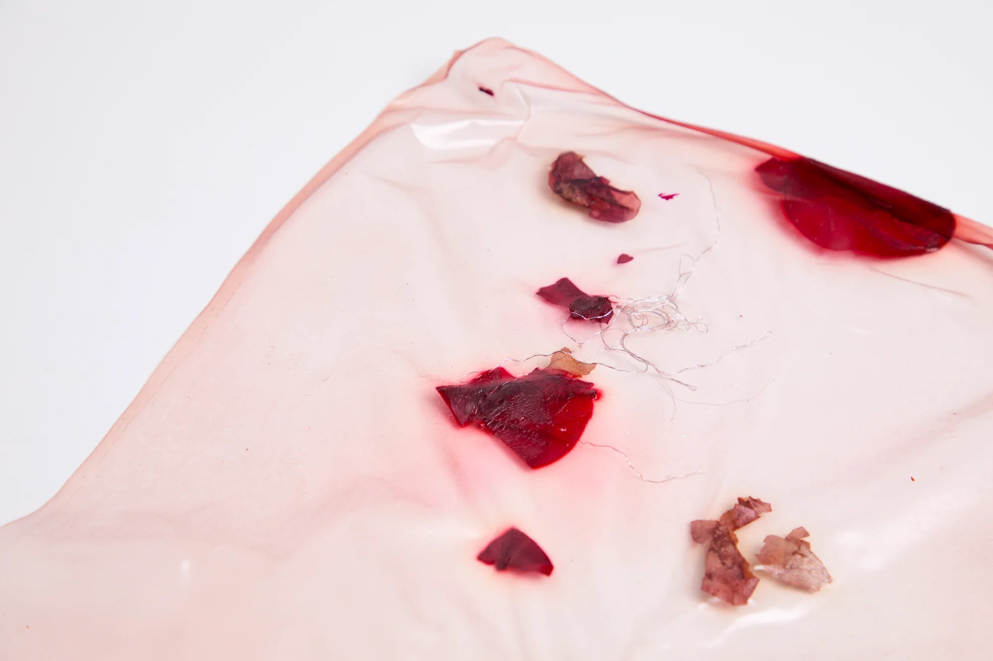 Imagen 9 del proyecto nací con el destino de una rosa