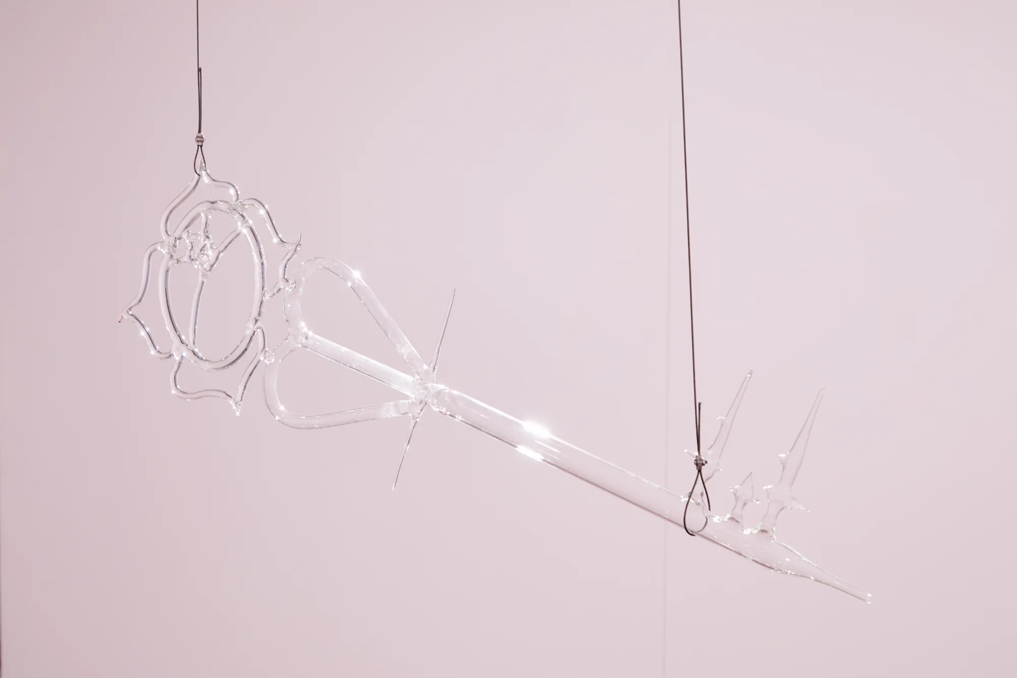 Imagen 18 del proyecto nací con el destino de una rosa