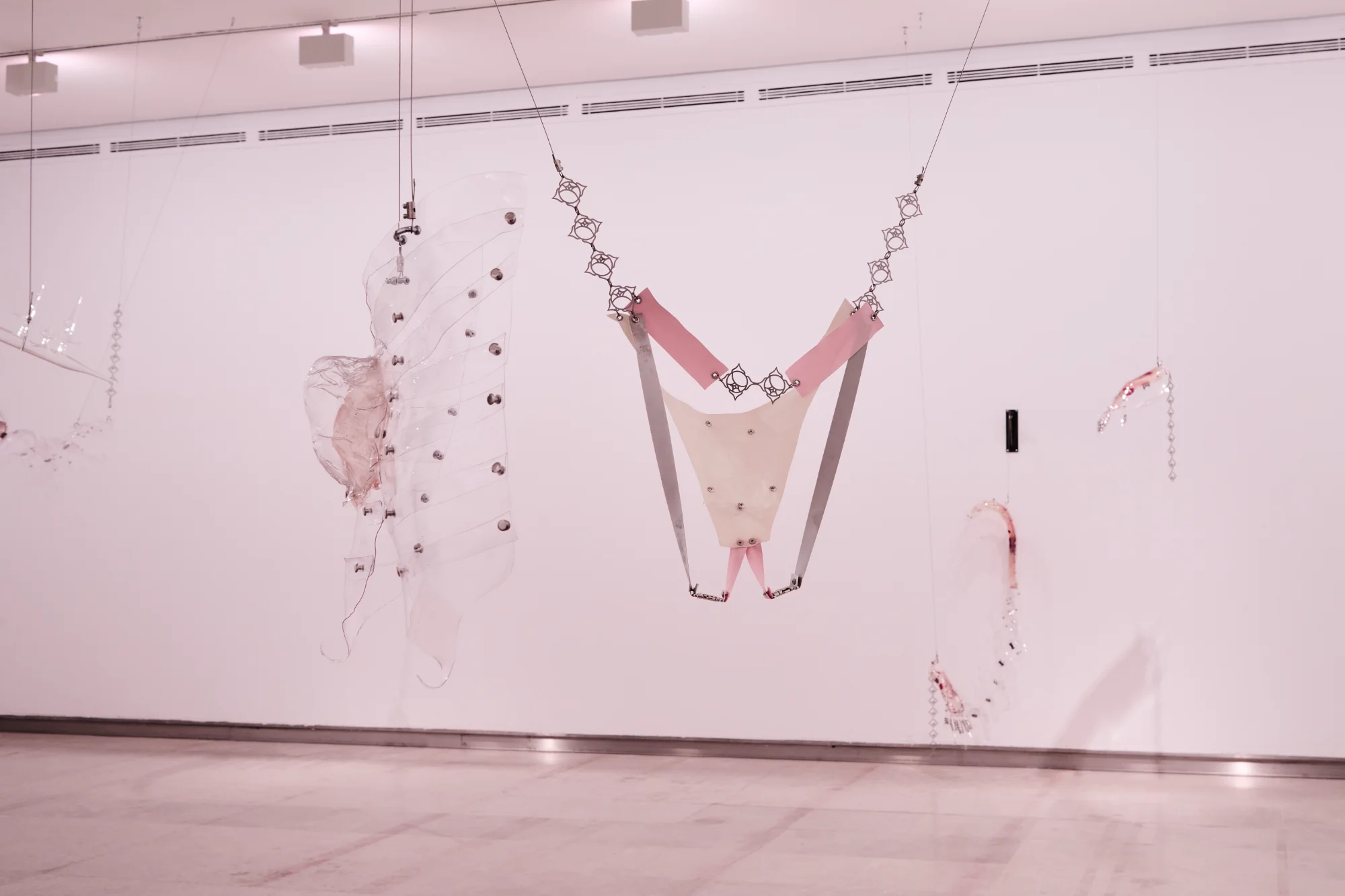 Imagen 21 del proyecto nací con el destino de una rosa