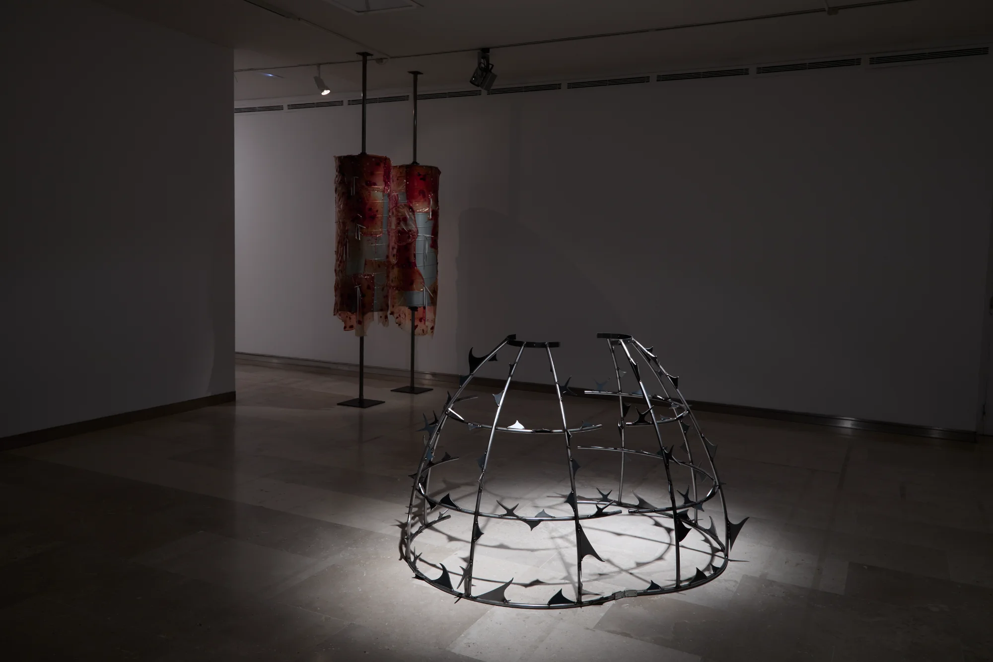 Imagen 22 del proyecto nací con el destino de una rosa
